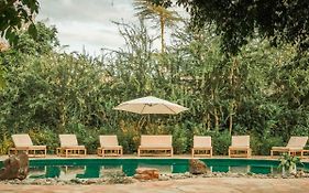 The Jungle Pearl Resort