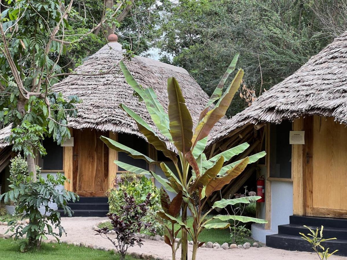 The Jungle Pearl Resort Mto wa Mbu Extérieur photo