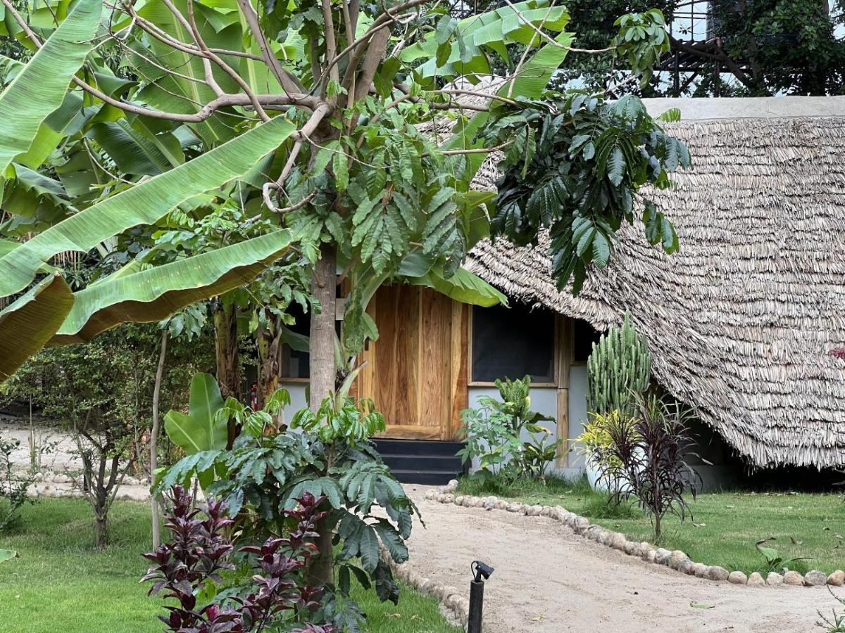 The Jungle Pearl Resort Mto wa Mbu Extérieur photo